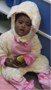 fall harvest celebration lamb fall harvest celebration lamb